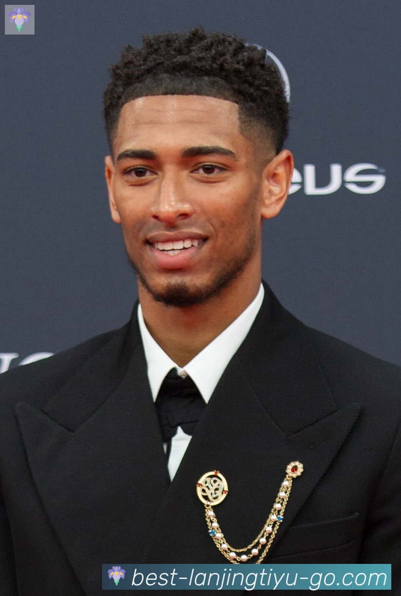 维尼修斯